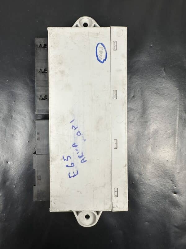 61356958447 / 601-5007-017 BMW E65 E66 Rear Door Module – OEM Used & Tested